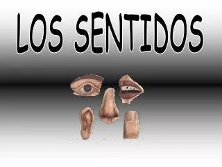 LOS SENTIDOS