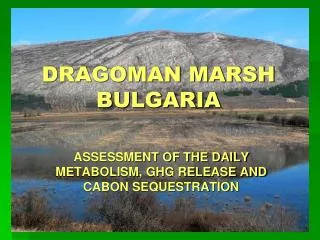 DRAGOMAN MARSH BULGARIA