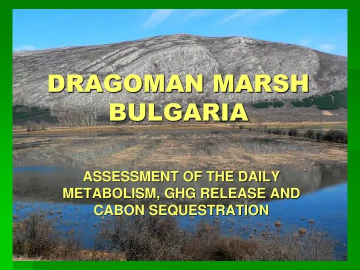 dragoman marsh bulgaria