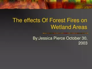 The effects Of Forest Fires on Wetland Areas