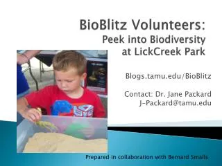 BioBlitz Volunteers: Peek into Biodiversity at LickCreek Park