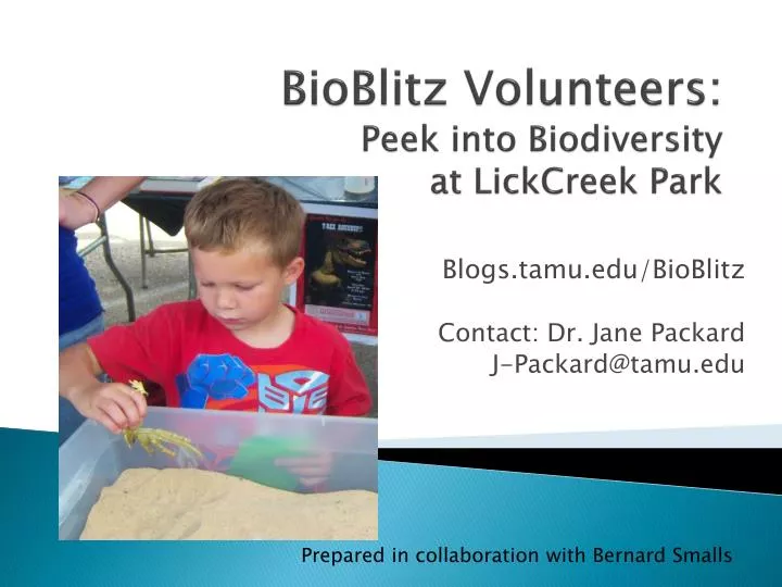 bioblitz volunteers peek into biodiversity at lickcreek park