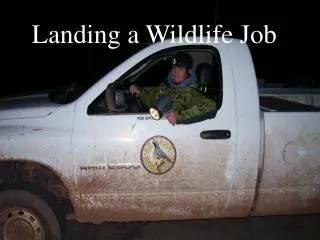 Landing a Wildlife Job