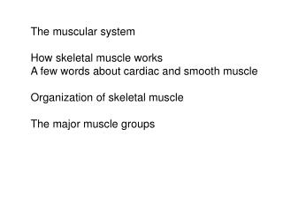 The muscular system How skeletal muscle works A few words about cardiac and smooth muscle Organization of skeletal muscl