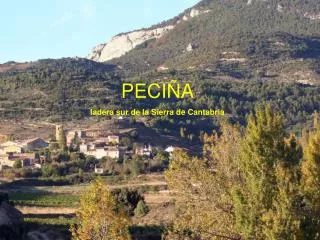 PECIÑA ladera sur de la Sierra de Cantabria