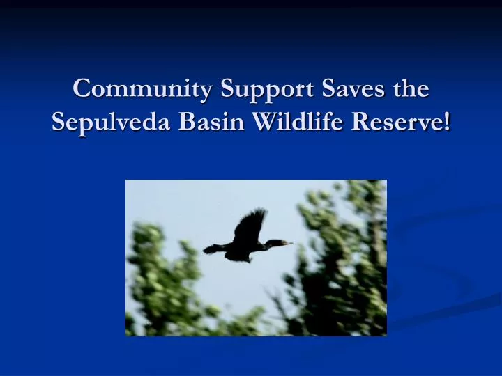 community support saves the sepulveda basin wildlife reserve