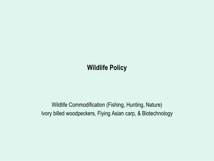wildlife policy