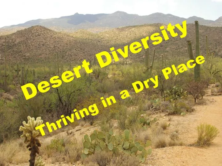 desert diversity