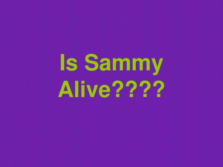 is sammy alive