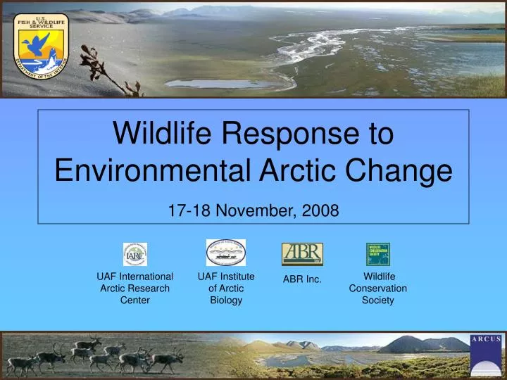 wildlife response to environmental arctic change 17 18 november 2008