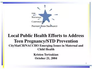 Local Public Health Efforts to Address Teen Pregnancy/STD Prevention CityMatCH/NACCHO Emerging Issues in Maternal and Ch