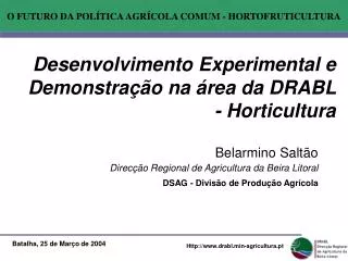 Desenvolvimento Experimental e Demonstração na área da DRABL - Horticultura