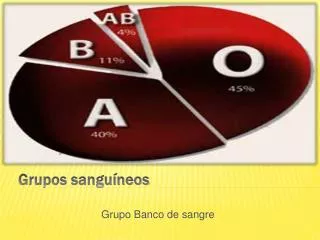 grupo banco de sangre