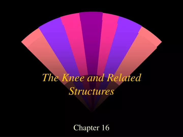 the knee and related structures