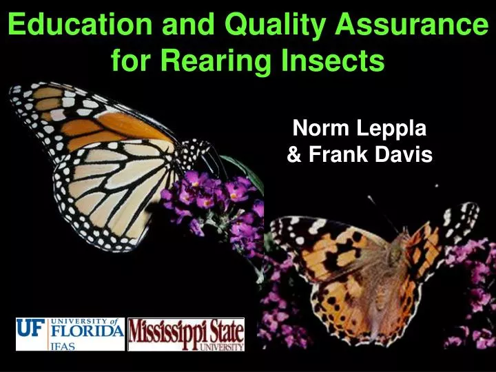education and quality assurance for rearing insects