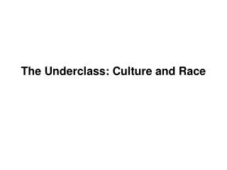 The Underclass: Culture and Race