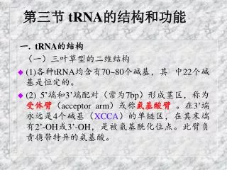 第三节 tRNA 的结构和功能