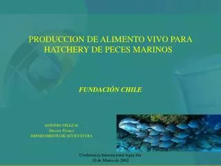 PRODUCCION DE ALIMENTO VIVO PARA HATCHERY DE PECES MARINOS FUNDACIÓN CHILE