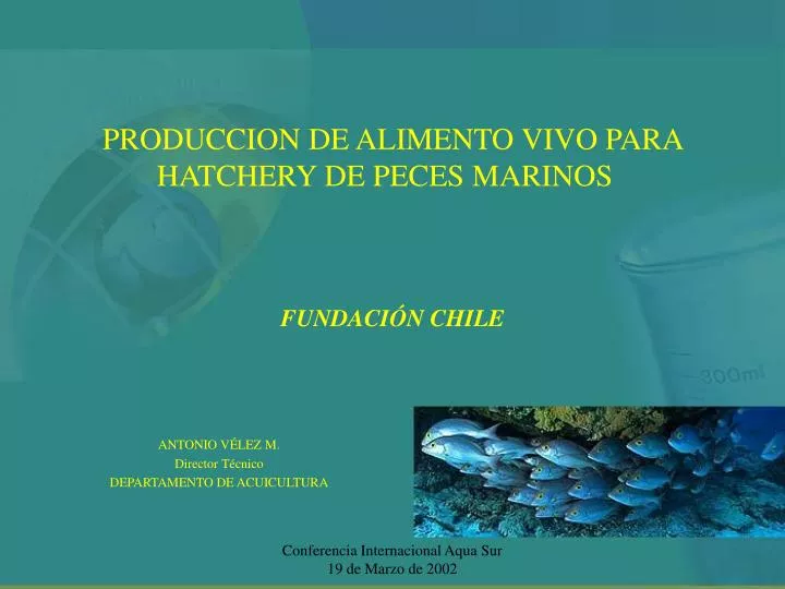 produccion de alimento vivo para hatchery de peces marinos fundaci n chile