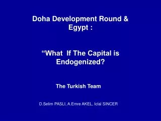 Doha Development Round &amp; Egypt : “What If The Capital is Endogenized?