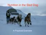 Nutrition in the Sled Dog