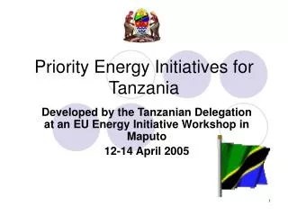 Priority Energy Initiatives for Tanzania