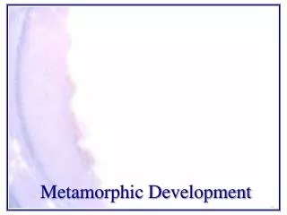 Metamorphic Development