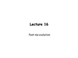 Lecture 16