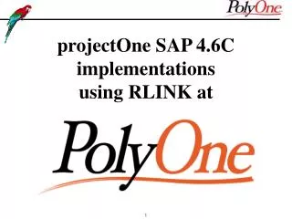 projectOne SAP 4.6C implementations using RLINK at