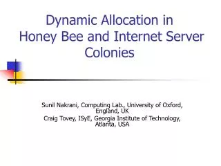 Dynamic Allocation in Honey Bee and Internet Server Colonies