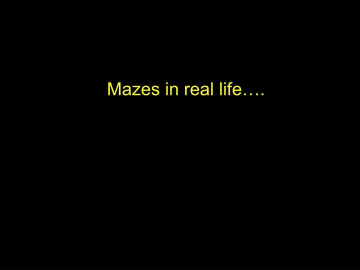 mazes in real life