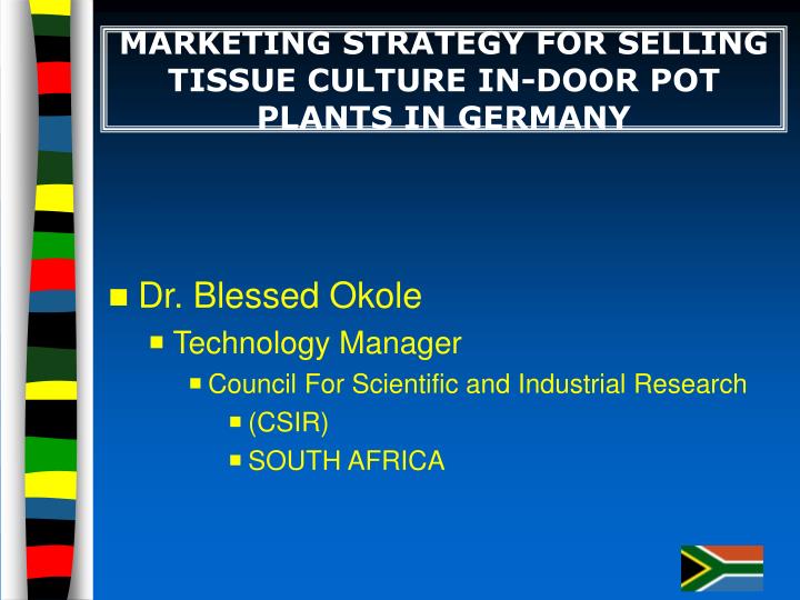 marketing strategy for selling tissue culture in door pot plants in germany