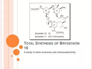 Total Synthesis of Bryostatin 16