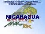 NICARAGUA - slide 1