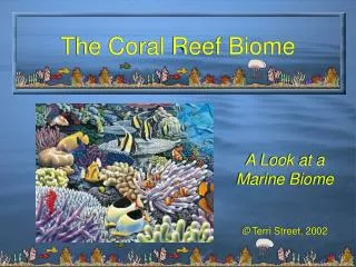 The Coral Reef Biome