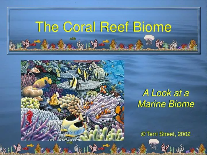 the coral reef biome