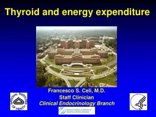 Thyroid and energy expenditure