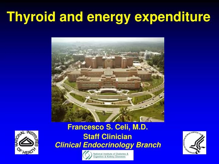 thyroid and energy expenditure