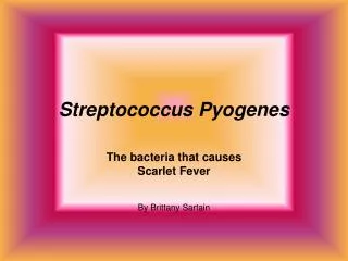 Streptococcus Pyogenes