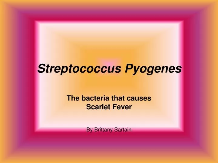 streptococcus pyogenes