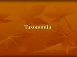 Taxonomia - slide 1