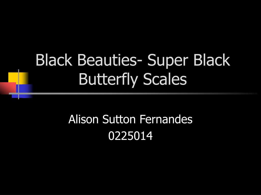 Ppt Black Beauties Super Black Butterfly Scales Powerpoint Images, Photos, Reviews