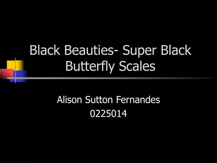 black beauties super black butterfly scales