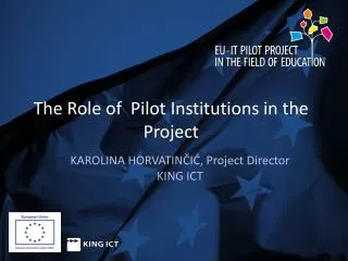 The Role of P ilot Institutions in the Project