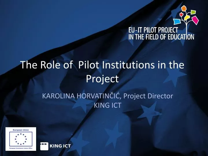 the role of p ilot institutions in the project