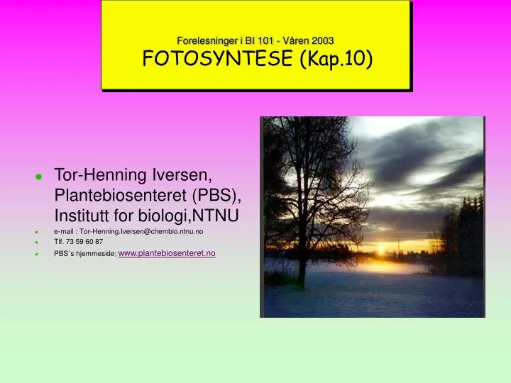forelesninger i bi 101 v ren 2003 fotosyntese kap 10