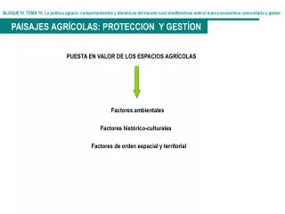 BLOQUE IV. TEMA 10. La política agraria: comportamientos y dinámicas del mundo rural mediterráneo ante el marco económic