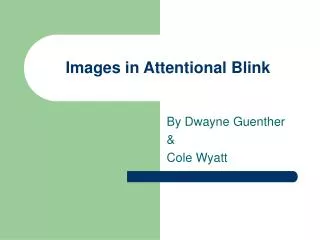 Images in Attentional Blink