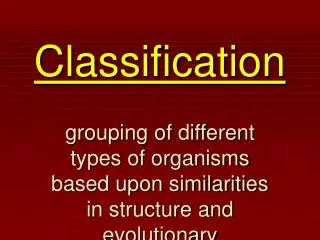 Classification