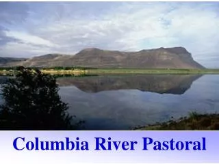 Columbia River Pastoral